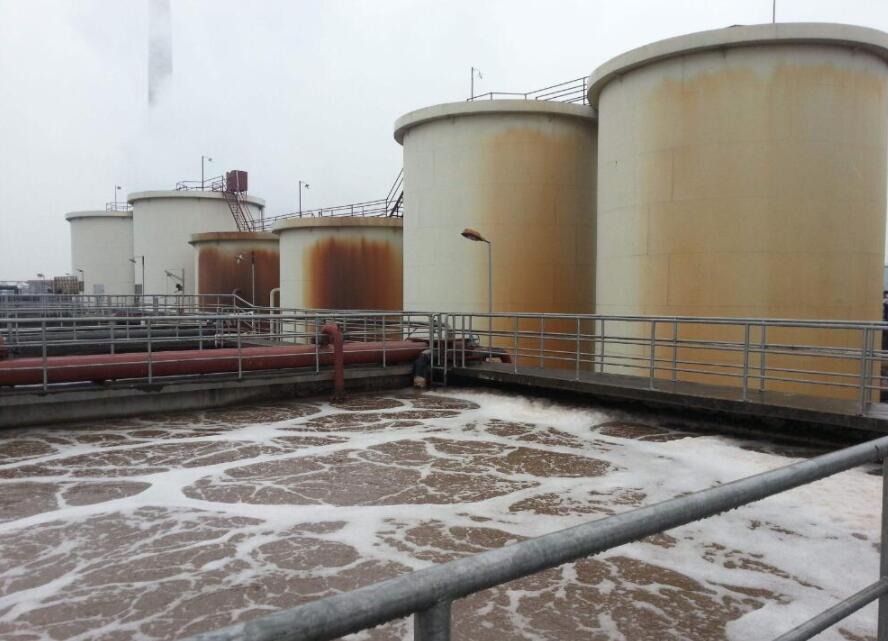 (圖:工業污水池起泡現場)